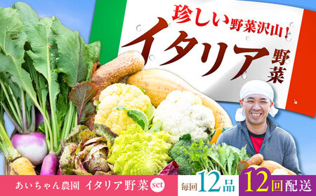 【12品×12回定期便】あいちゃん農園の「イタリア野菜」セット（ラージ） 野菜 やさい[FAA022]
