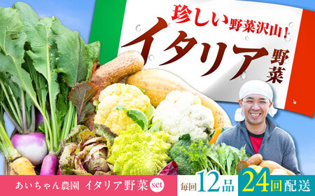 【12品×24回定期便】あいちゃん農園の「イタリア野菜」セット（ラージ） 野菜 やさい[FAA023]