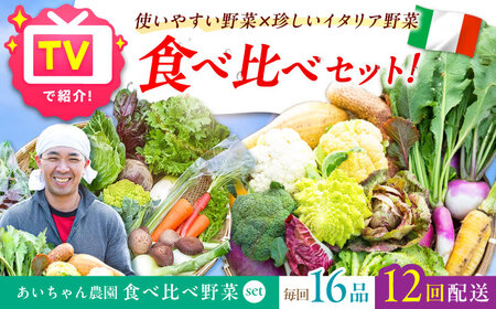 【16品×12回定期便】「使いやすい野菜」×「珍しいイタリア野菜」食べ比べセット [FAA034]