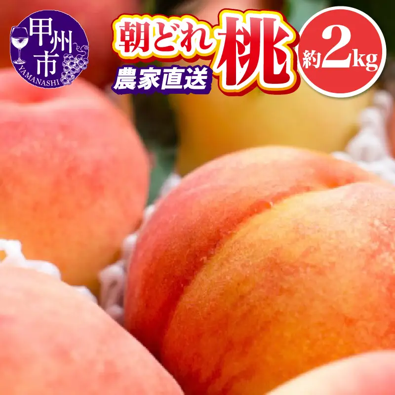 桃 池田青果 朝どれ 大玉 桃 約2kg 4～7玉 農家直送【2026年発送】（IS）B-467 フルーツ