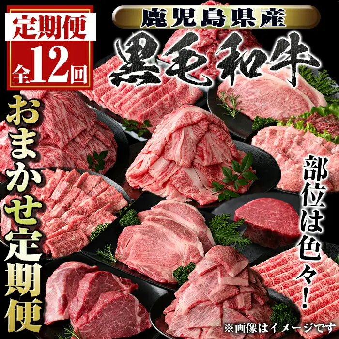 【G01001】＜定期便・全12回＞鹿児島県産黒毛和牛おまかせ定期便 鹿児島 牛肉 黒毛和牛 シャトーブリアン サーロインステーキ リブロース カルビ 焼肉 すき焼き 定期便【新村畜産】