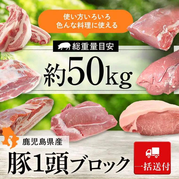 【G05031】＜一括送付＞鹿児島県産豚1頭ブロックセット(6箱・総量約50kg前後) ロース 肩ロース バラ ウデ モモ ヒレ スペアリブ 焼肉 トンカツ 焼き豚 チャーシュー 叉焼【大将食品】