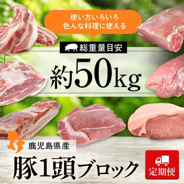 【G05032】＜定期便・計6回(連続)＞ 鹿児島県産豚1頭ブロックセット(総量約50kg前後）肩ロース バラ ウデ モモ ヒレ スペアリブ 豚肉 ブロック【大将食品】