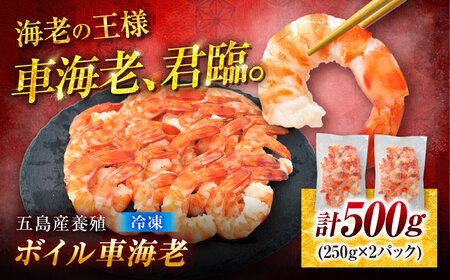 ボイル車海老500g[PCU004]冷凍車海老
