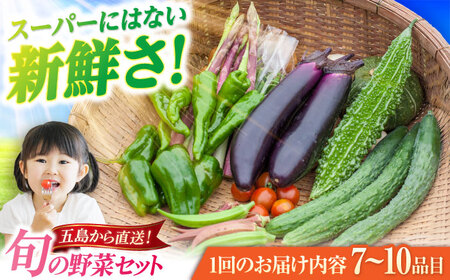 旬の野菜セット（7-10品目10kg未満）五島市/やぁしゃ便 [PBG003] 