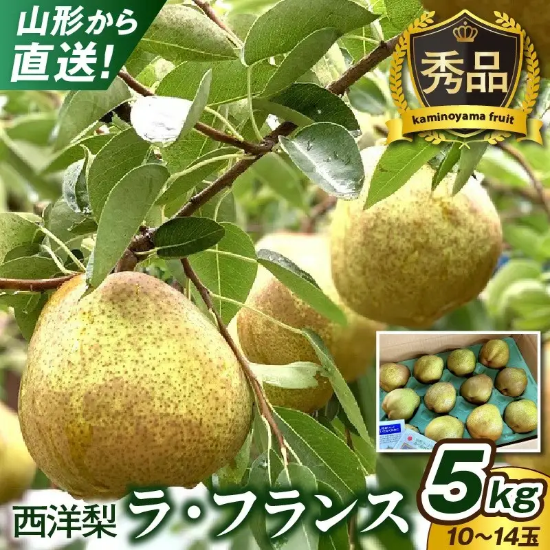 西洋梨（ラ・フランス）５ｋｇ　１０～１４玉　0079-2619