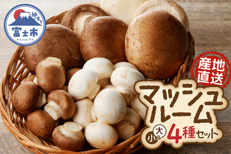 長谷川農産の美味しいマッシュルームセット 無農薬・無漂白栽培 ホワイト種(大×2個、小×1パック) ブラウン種(大×4個、小×1パック) 富士山麓 マッシュルームファーム 産地直送 高品質 きのこ キノコ ギフト 長谷川農産 静岡県 富士市 野菜 [sf002-005]