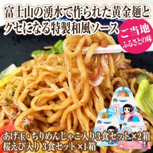 富士山やきそば 富士山の湧水で作られた黄金麺と特製和風ソース9食セット ご当地 お土産 [sf002-225]