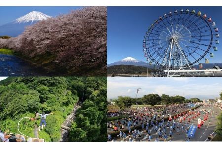 富士市ホテル旅館組合宿泊ギフト券（1238）