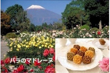 富士のまちを「彩る」～バラいっぱい3776事業～B マドレーヌ 薔薇 銘菓 手作り スイーツ 洋菓子 ギフト 贈答 静岡県 富士市 [sf002-053]
