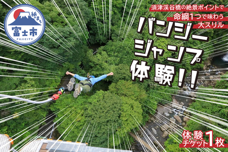 バンジージャンプ 体験 チケット 1枚 アウトドア アクティビティ 絶景 須津渓谷橋 静岡県 富士市 [sf016-001]