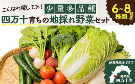 【少量多品種】 四万十育ちの地採れ 野菜セット （6〜8種類）野菜 ／Qjs-A21