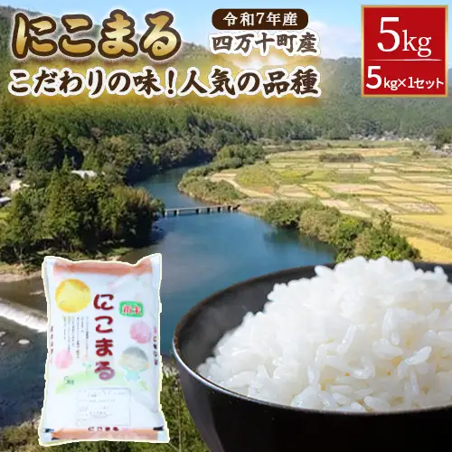 ◎令和7年産◎こだわりの味！人気の品種　井上米穀店さんの「にこまる」 農家 こだわり お米 ブランド米 ／Bib-B06