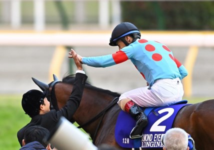 No.2010 競馬ジョッキー勝負服　タイプＡ