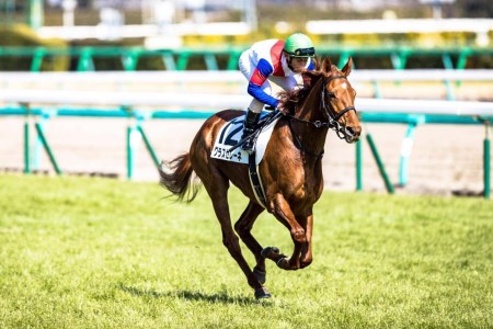 No.2011 競馬ジョッキー勝負服　タイプＢ