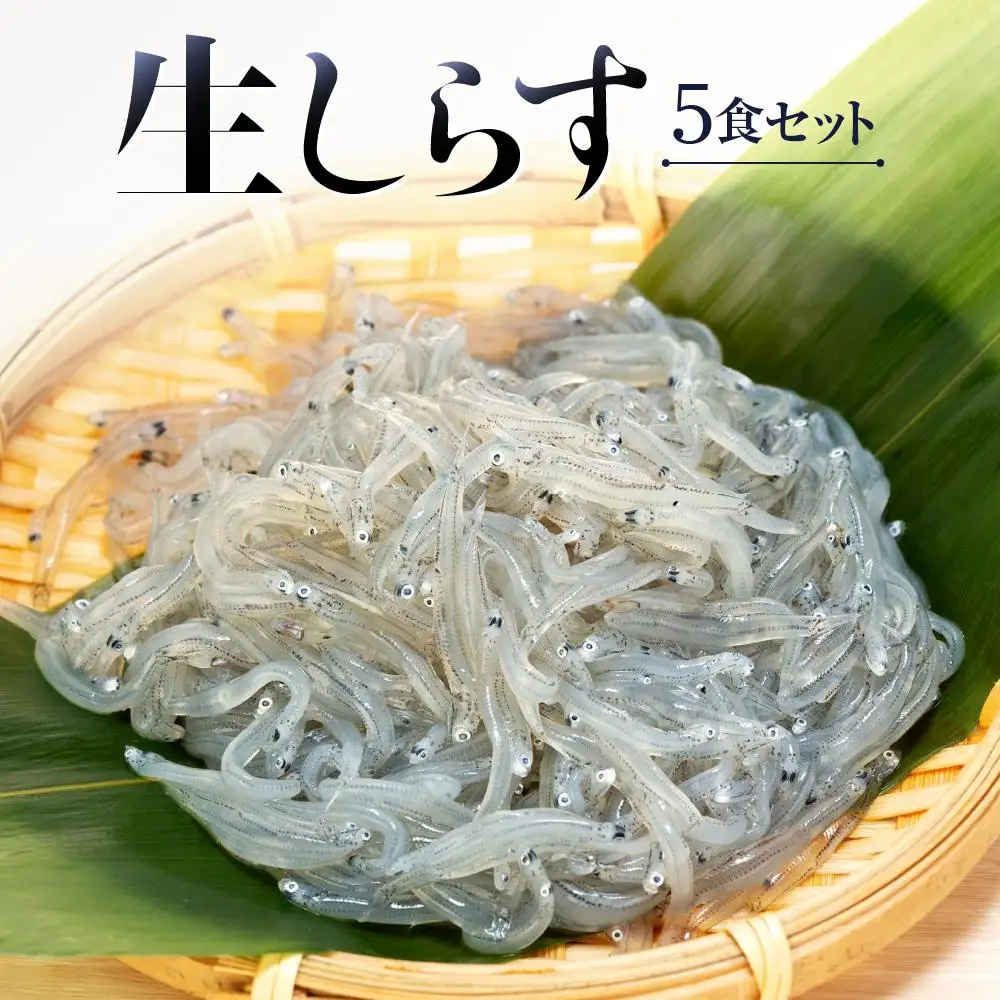 生しらす5食セット