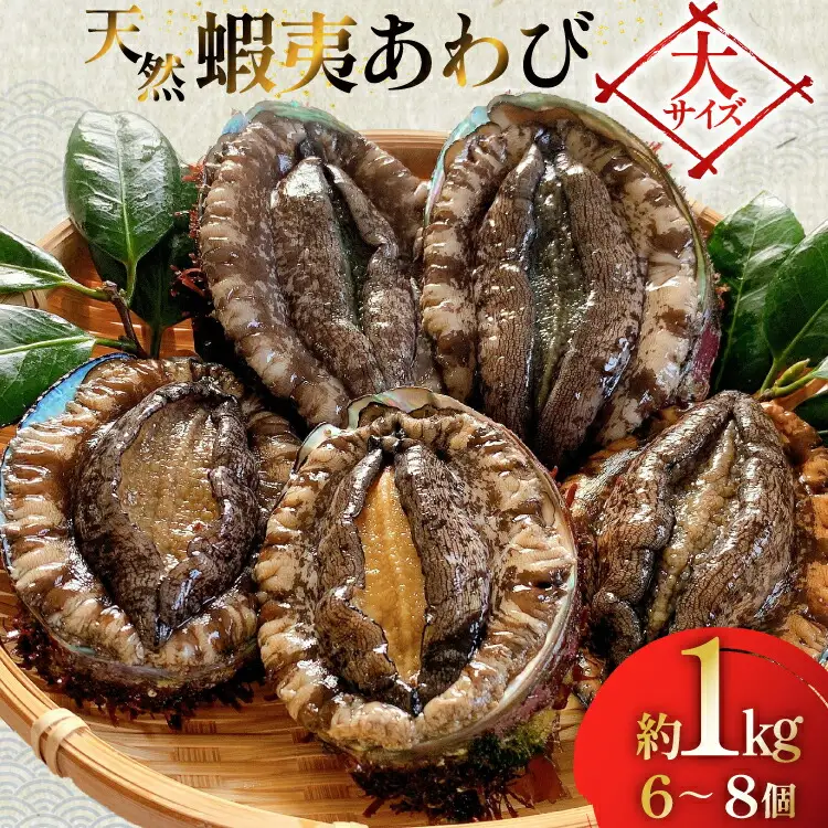 アワビ 鮑 天然 蝦夷あわび パック 約1kg [たみこの海パック 宮城県 南三陸町 m304amh560080]