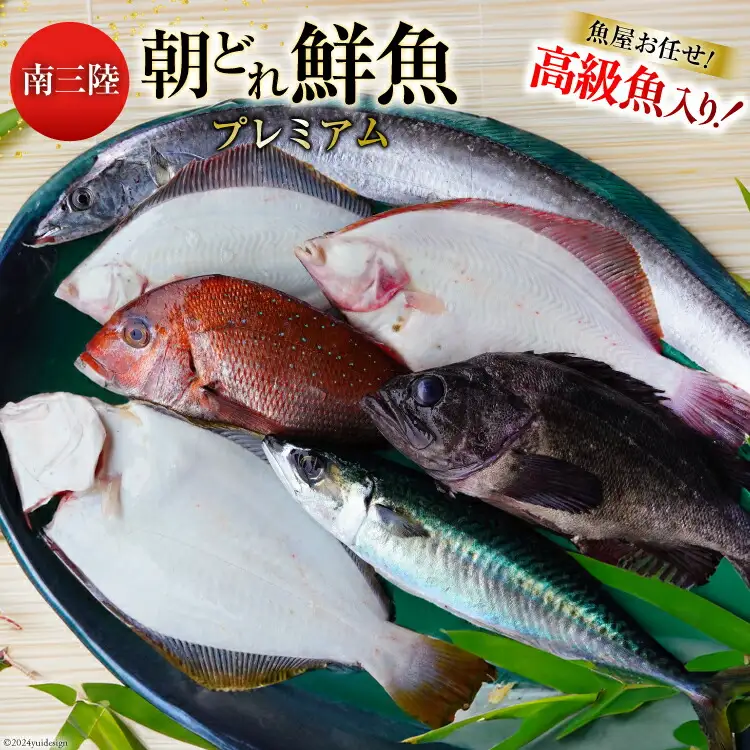 鮮魚 詰め合わせ 朝どれ鮮魚BOX プレミアム 下処理済み [さかなのみうら 宮城県 南三陸町 30aj0008]