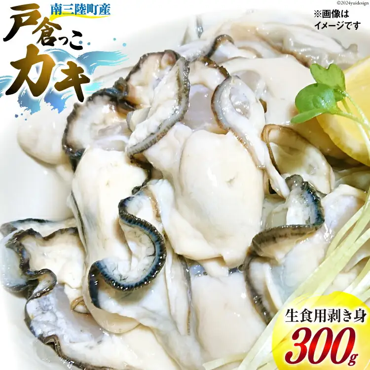 【期間限定発送】 牡蠣 生食 南三陸町産 戸倉っこカキ 300g [宮城県漁業協同組合志津川支所 宮城県 南三陸町 30an0001]