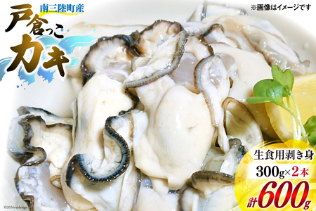 【期間限定発送】 牡蠣 生食 南三陸町産 戸倉っこカキ 300g×2本 計600g [宮城県漁業協同組合志津川支所 宮城県 南三陸町 30an0002]