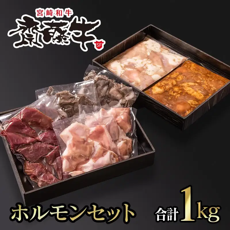 黒毛和牛「宮崎和牛 齋藤牛」 ホルモンセット 合計1kg 焼肉 バーベキュー＜5-2a＞