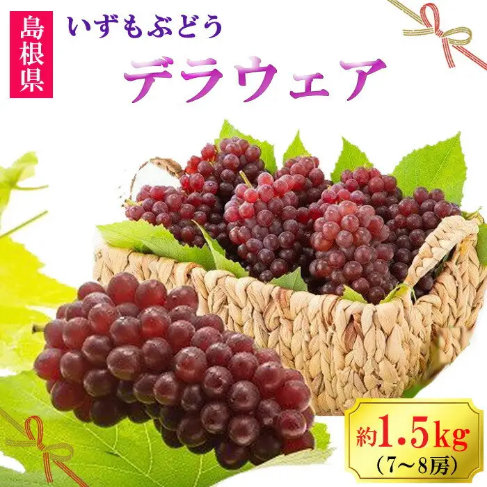 【2026年6月以降発送】いずもぶどうデラウェア 約1.5kg 7-8房 美味しい 先行予約 フルーツ 果物