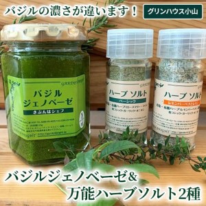 バジルの濃さが違います！バジルジェノベーゼ＆万能ハーブソルト2種 _CI01