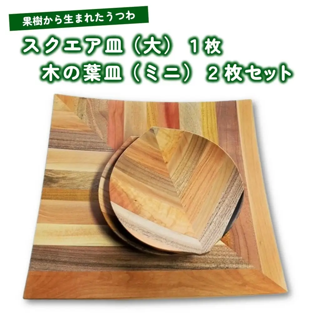 【果樹から生まれたくだものうつわ】スクエア皿（大）１枚・木の葉皿ミニ２枚セット　0058-2202
