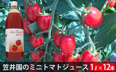 ミニトマト「アイコ」で作ったトマトジュース 1L×12本セット（ご自宅用） 野菜ジュース 果汁飲料 野菜飲料 野菜 トマト 北海道 仁木町 [くだものの笠井園]