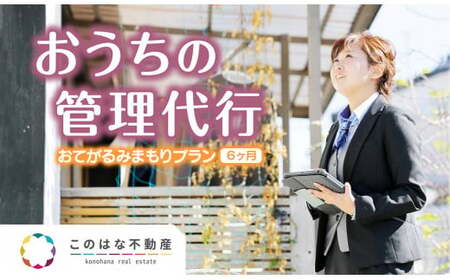 【6ヶ月】おうちの管理代行ｻｰﾋﾞｽお手軽見守りﾌﾟﾗﾝ N0109-YZD030