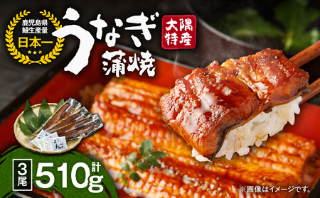【 土用の丑の日特集 】 1387 大隅特産 うなぎ蒲焼 3尾（510g） KN060-001-03 魚 冷凍 鰻