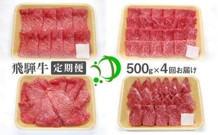 《定期便》飛騨牛 4回お届け 4ヶ月 焼肉 すき焼き しゃぶしゃぶ ミニステーキ 500g 5等級[Q603]
