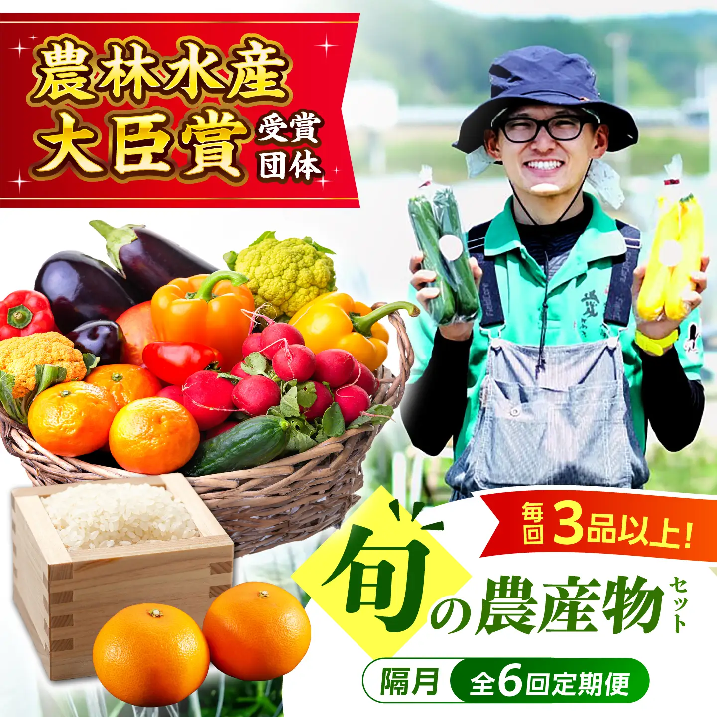 野菜【全6回定期便】【隔月】旬の農産物 野菜[AGBL001]