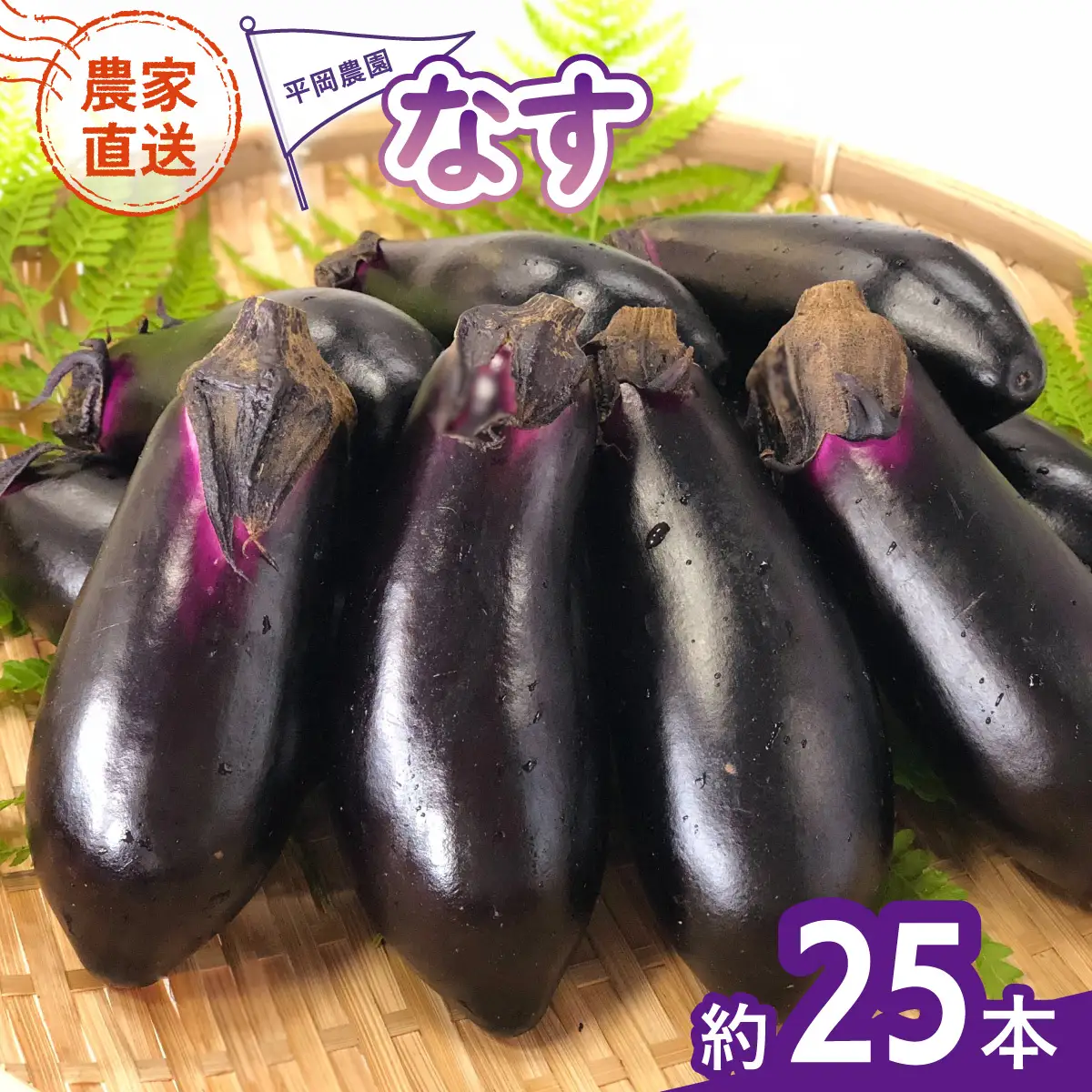 なす 約25本 茄子 ナス 産地直送 天敵栽培 【2026年7月以降順次発送】