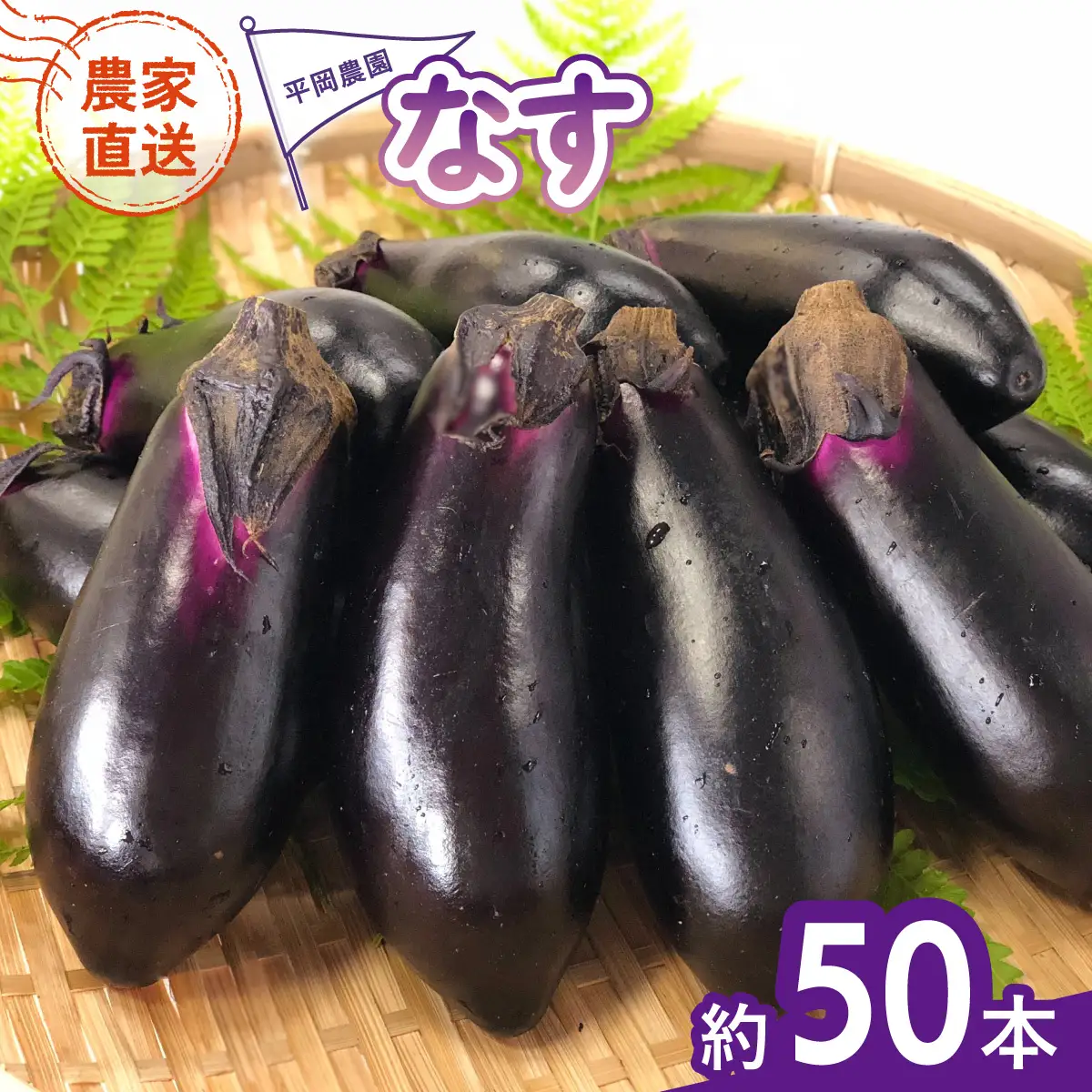 なす 約50本 茄子 ナス 産地直送 天敵栽培 【2026年7月以降順次発送】