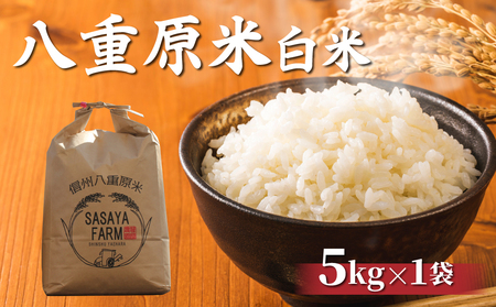 【寄附額改訂】令和８年新米予約！八重原米 白米【5kg】(5kg×1袋)　※2026年10月以降順次発送｜笹屋農園「農薬削減長野県認証取得」　先行予約 お米
