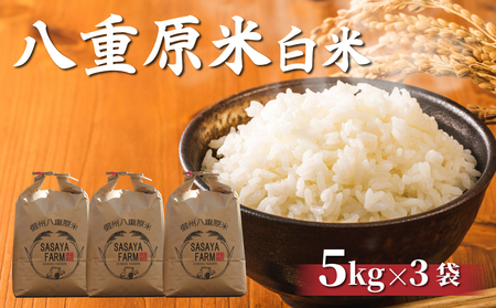 【寄附額改訂】令和8年新米予約！八重原米 白米【15kg】(5kg×3袋)　※2026年10月以降順次発送｜笹屋農園「農薬削減長野県認証取得」　お米