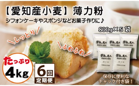 【小麦粉】碧海の恵み 薄力粉 国産 愛知県産 800g×5袋(計4kg) 定期便6回 H008-268