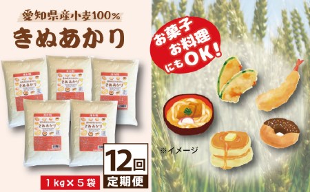 【小麦粉】愛知県産 きぬあかり 国産 薄力粉 1kg×5袋(計5kg) 定期便12回 H008-270