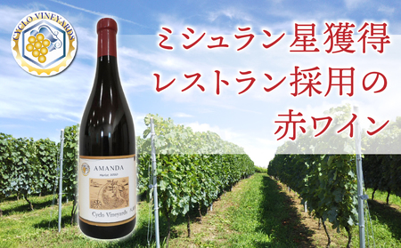 ミシュラン星獲得レストラン採用の赤ワイン【496ワイナリー】｜アマンダメルロー