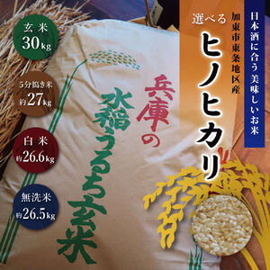 《令和7年産》日本酒に合う ヒノヒカリ 玄米 30kg【無洗米約26.5kg】