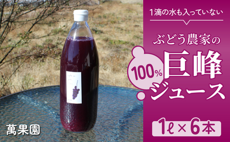 巨峰ジュース100％　1L　6本セット
