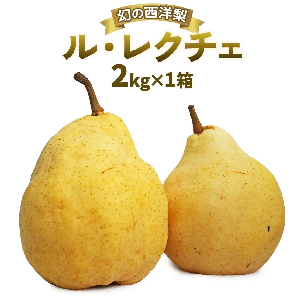 【2025年先行予約】新潟特産 幻の洋梨ル・レクチェ 約2kg 《11月下旬～順次発送》