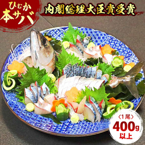 【内閣総理大臣賞受賞！】ひむか本サバ１尾(セミドレス)400ｇ以上 N025-YA0386