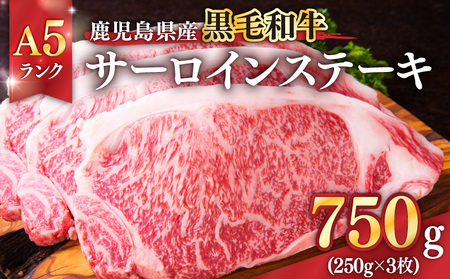 1398-1 鹿児島県産黒毛和牛A5ランクサーロインステーキ 750g（250g×3枚） KN041-001-02 肉 牛肉 冷凍