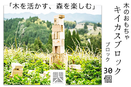 熊本県 御船町 キイカスブロック 30個 木のおもちゃ 森のバランスゲーム KEYCUSプロジェクト事務局 國武林業《30日以内に出荷予定(土日祝除く)》