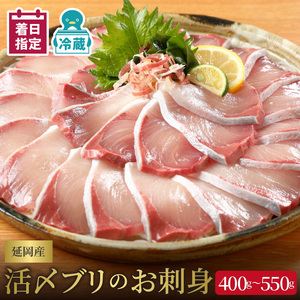 【冷蔵】【日向灘どれ】延岡産 活〆ブリ お刺身 400g～550g 【最短10日後以降発送可】チルド冷蔵 ぶりしゃぶ ぶり刺身 旬 国産 宮崎県 延岡市 請関水産 海産物 海の幸 魚介 お取り寄せ お取り寄せグルメ 送料無料 N019-YA2259