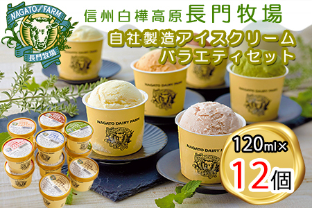 長門牧場アイスクリーム12個セットA-2　6種のフレーバー詰め合わせ（バニラ、チョコレート、抹茶、ヨーグルト、いちご、あんず）　人気スイーツ　濃厚ミルク　直送　牛乳　生乳　国産　夏ギフト　長野県　贈答品　お土産　お中元　お歳暮　クリスマス
