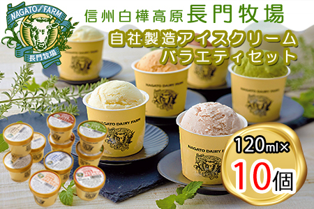 長門牧場アイスクリーム10個セットA-1　6種のフレーバー詰め合わせ（バニラ、チョコレート、抹茶、ヨーグルト、いちご、あんず）　人気スイーツ　濃厚ミルク　直送　牛乳　生乳　国産　夏ギフト　長野県　贈答品　お土産　お中元　お歳暮　クリスマス