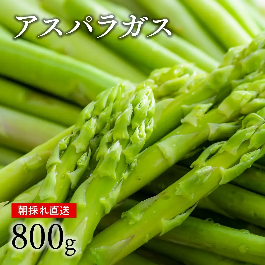 グリーンアスパラガス（800g）【7月~9月配送】 アスパラ